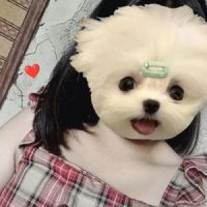 พลอย ใส profile icon