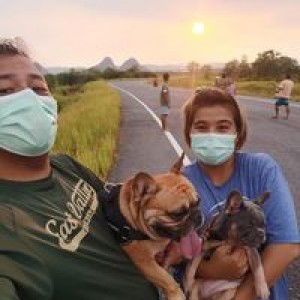 Chanisa Palm profile icon