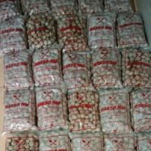 Lenny Marlina NW profile icon