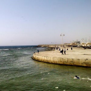 Rochana Nana profile icon