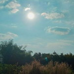 สาลิณี แป้นสกุล profile icon