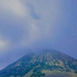 Astutik Wahyu profile icon