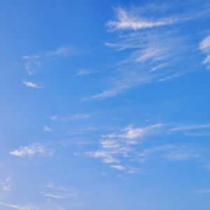 Arni Listia profile icon