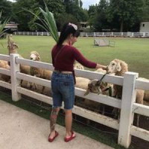 อันปัน จอมทอง profile icon