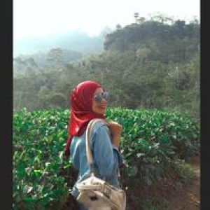 Ida Reg profile icon