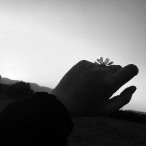 Vivi Novia Agustina profile icon