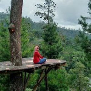 Desty Utami profile icon