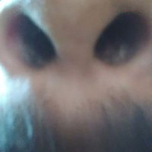 Tulus Gayatri M Ojohutasoit profile icon