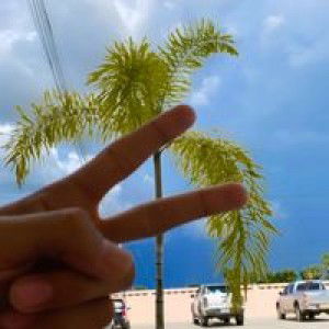 Narumon Asiramate profile icon