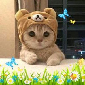 Erlina Gita profile icon