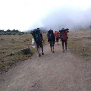 melamonika profile icon