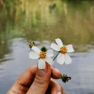 ฟอ เฟิร์น profile icon