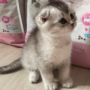 พิมพ์พัชรา ดัดถุยาวัตร profile icon