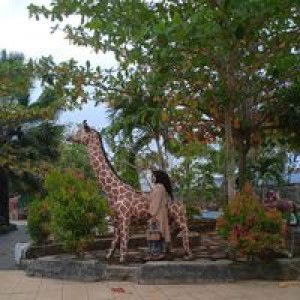 Rahmad Syahputra Manurung profile icon