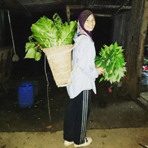 NUR SHAFFIQA BINTI ABDULLAH profile icon