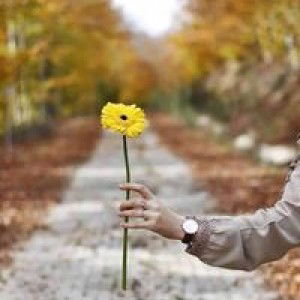 Try Arviansa profile icon