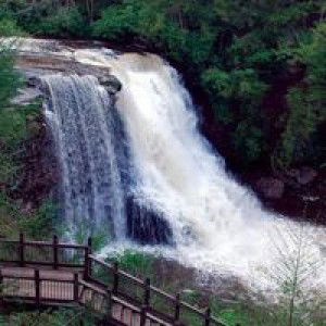 Yam Yam profile icon