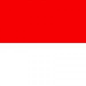 M Afandi profile icon