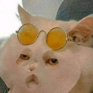 Yuniwahyuni profile icon