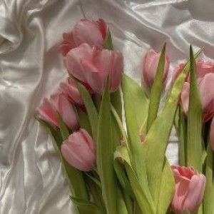 Ilma Anas Fajrina profile icon