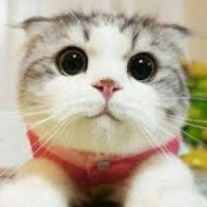 Kim Florida profile icon