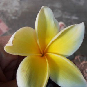 vie Fida profile icon