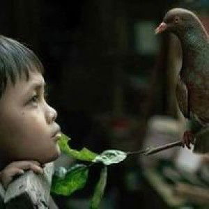 Rianto Gowi profile icon