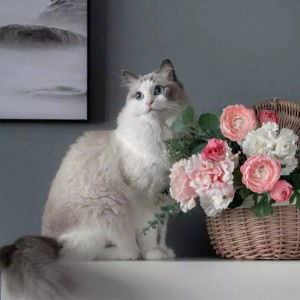 Najwa Hilwanis profile icon