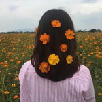 Mitha Nur Lailia profile icon