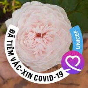 Thủy Thủy profile icon