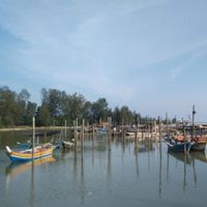 Annie Apandi profile icon