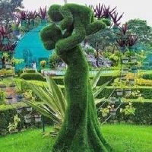 Tớ Là Mỡ profile icon