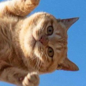 Thanyaret Pray profile icon