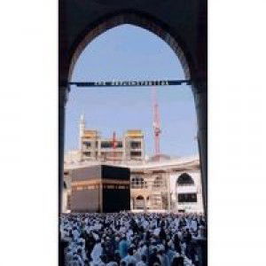 Selvhy Syahrani profile icon