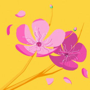 Nur Hafizahanis profile icon