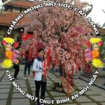 Pt Luyen profile icon