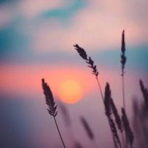 Yona Maula Yuntary profile icon