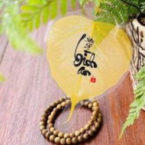 Trương Ben profile icon