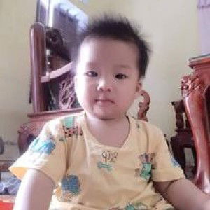 Đinh Thạch profile icon