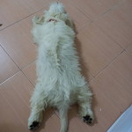 แม็กซ์ น้ําแข็ง profile icon