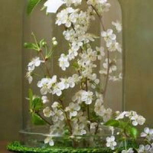 Sansan farida profile icon