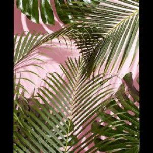 Fenny Afni profile icon