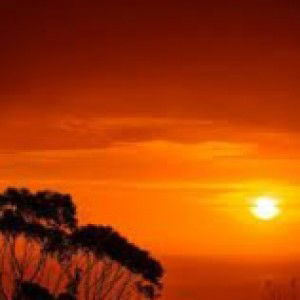 Aehda Elvia profile icon