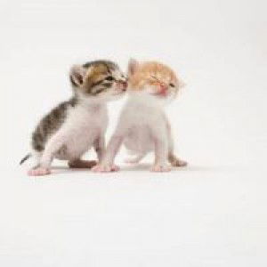 Đặng My profile icon