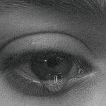 Daisy Xu profile icon