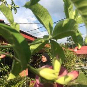 Nur Anies II profile icon