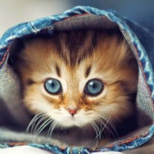 nani hannani profile icon