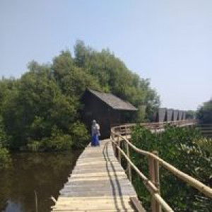 Alfa Ummu Askar profile icon