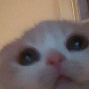 เนม นอย. profile icon