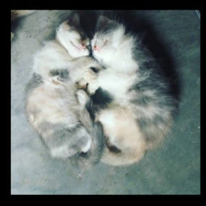 Viina Yunitasari profile icon